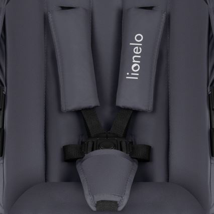 Lionelo - Yhdistelmävaunut 3-in-1 AMBER PLUS Harmaa Grafiitti