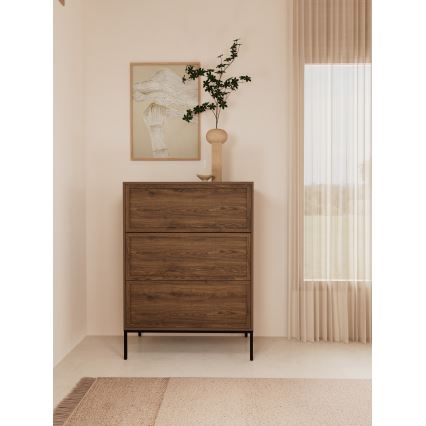 Lipasto ALIN 80x40 cm ruskea