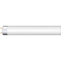 Loisteputki G13/36W/230V 120 cm