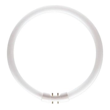 Loisteputki Philips MASTER 2GX13/55W/230V 4000K d. 30,5 cm