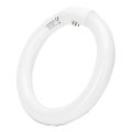 Loisteputki T9 G10Q/22W/230V 6500K - Aigostar