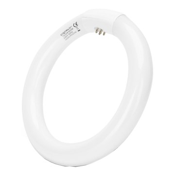 Loisteputki T9 G10Q/22W/230V 6500K - Aigostar