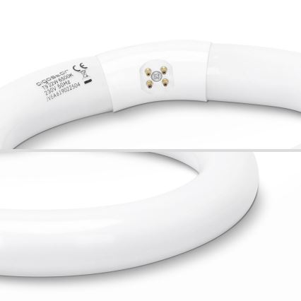 Loisteputki T9 G10Q/22W/230V 6500K - Aigostar