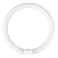 Loisteputki YH G10q/28W/230V 6500K - Fulgur 03045 halk. 23 cm