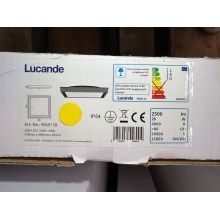 Lucande - LED Ulkokattovalaisin BIRTA LED/28W/230V IP54