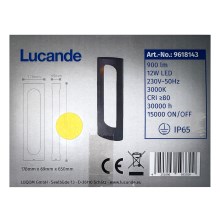 Lucande - LED Ulkolamppu FENTI LED/12W/230V IP65