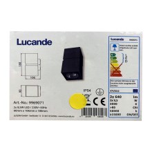 Lucande - LED-ulkoseinävalaisin GABRIELA 2xLED/9,5W/230V IP54