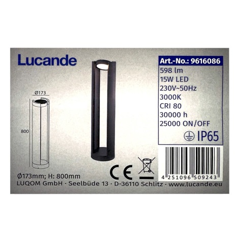 Lucande - LED-ulkovalaisin DYLEN LED/15W/230V IP65