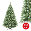 Mäntyinen joulukuusi 250 cm