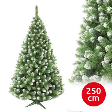 Mäntyinen joulukuusi 250 cm