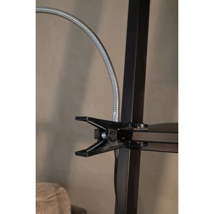 Markslöjd 106092 - LED-pöytälamppu pidikkeellä TULIP LED/3W/230V musta