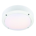 Markslöjd 106536 - LED-kattovalaisin LUNA LED/10W/230V