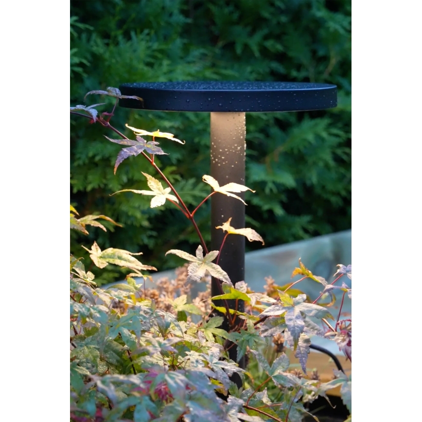 Markslöjd 108173 - LED-ulkovalaisin GARDEN24 LED/5W/24V 75 cm IP44 musta