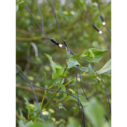 Markslöjd 108178 - LED-ulkojouluverho GARDEN24 160xLED/4W/24V 2x2m lämmin valkoinen