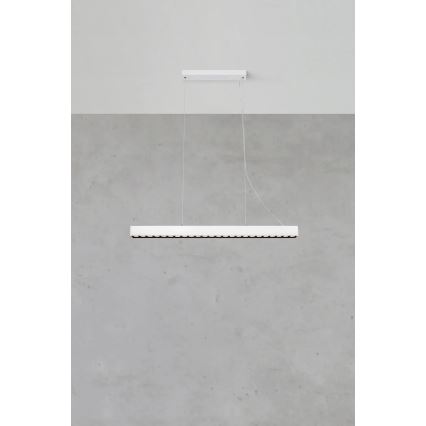 Markslöjd 108892 - himmennettävä PLANO-riippuvalaisin kaapelilla LED/38W/230V, valkoinen