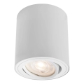 Markslöjd 109020 - LED himmennettävä kohdevalaisin DIRETTO LED/5W/230V CRI 90 valkoinen