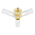 Markslöjd 109238 - Kylpyhuoneen pinta-asennettava kattovalaisin RIMINI 3xG9/20W/230V IP44 messinki