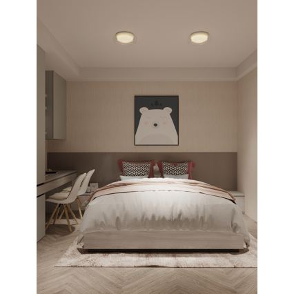 MAXLIGHT C0233 - LED-kattovalaisin DUO LED/10W/230V halkaisija 34 cm valkoinen