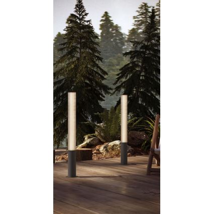 MAXLIGHT F0065 - LED-ulkovalaisin GARDENIA LED/25W/230V 105 cm CRI 93 IP65 antrasiitti