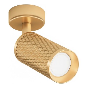 Maytoni C034CL-01G - Kohdevalaisin FOCUS 1xGU10/10W/230V, kultainen