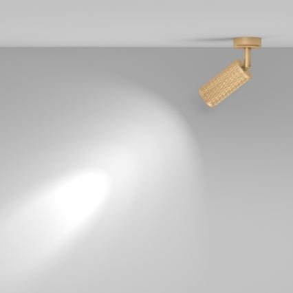Maytoni C034CL-01G - Kohdevalaisin FOCUS 1xGU10/10W/230V, kultainen
