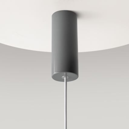 Maytoni MOD189PL-L12GR3K1 - GERHARD LED-riippuvalaisin vaijerilla LED/19W/230V, halkaisija 30 cm, harmaa