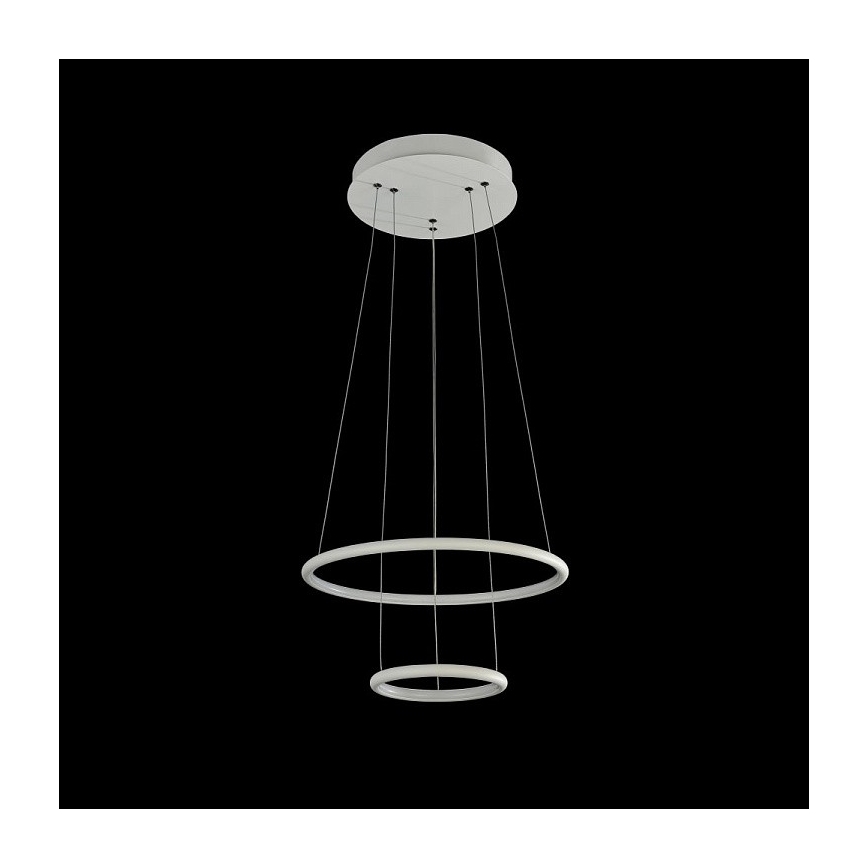 Maytoni MOD807-PL-02-36-W - LED-kattokruunu narussa NOLA LED/36W/230V