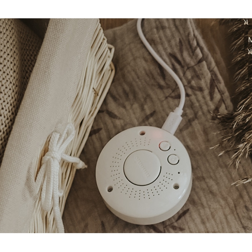 Moonie - Halailukaveri melodialla ja valolla pupu pilvi