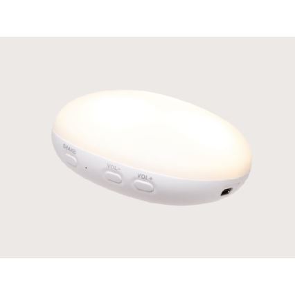 Moonie - unikaveri melodialla ja valolla, hylje, organic sand