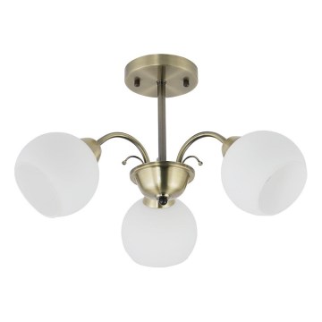 NESTOR varrella oleva kattokruunu 3 x E27/40 W/230 V, messinki