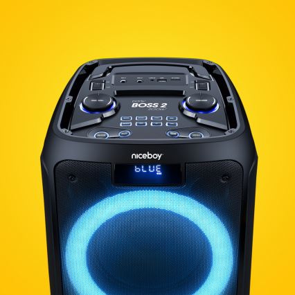 Niceboy PARTY Boss 2 - LED langaton kaiutin mikrofonilla ja powerbank-toiminnolla 200W/4500 mAh + kaukosäädin