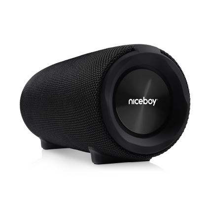 Niceboy Titan 4 - LED Langaton kaiutin mikrofonilla ja virtapankki toiminto 50W/4000 mAh IPX7 musta