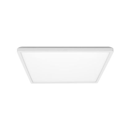 LED Kylpyhuoneen kattovalaisin NIVERA LED/24W/230V IP54 3000/4000/6000K 30x30 cm valkoinen