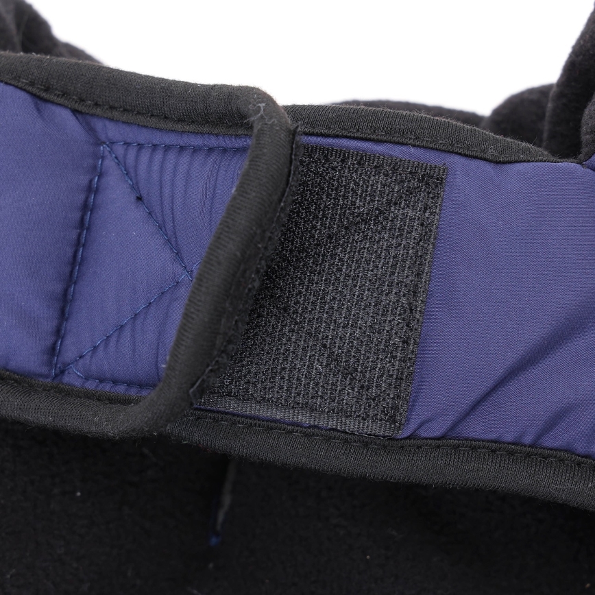 Nobleza - Koiran vaate XS sininen