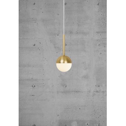 Nordlux - CONTINA riippuvalaisin vaijerilla 1xG9/5W/230V messinki