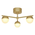 Nordlux - Kiinteä kattokruunu CONTINA 3xG9/5W/230V messinki