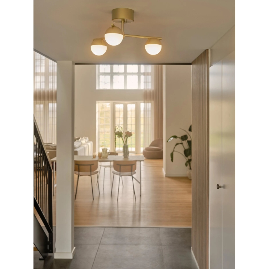 Nordlux - Kiinteä kattokruunu CONTINA 3xG9/5W/230V messinki