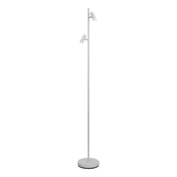 Nordlux - LED Himmennettävä kosketus lattialamppu OMARI 2xLED/3,2W/230V valkoinen
