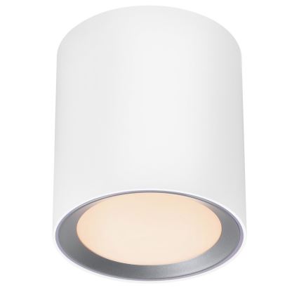 Nordlux - LED-himmennettävä kylpyhuoneen kohdevalaisin LANDON LED/6,5W/230V IP44 valkoinen