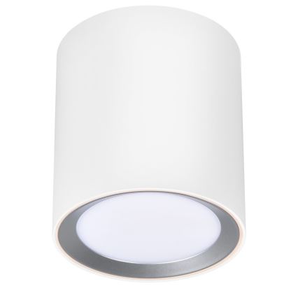 Nordlux - LED-himmennettävä kylpyhuoneen kohdevalaisin LANDON LED/6,5W/230V IP44 valkoinen