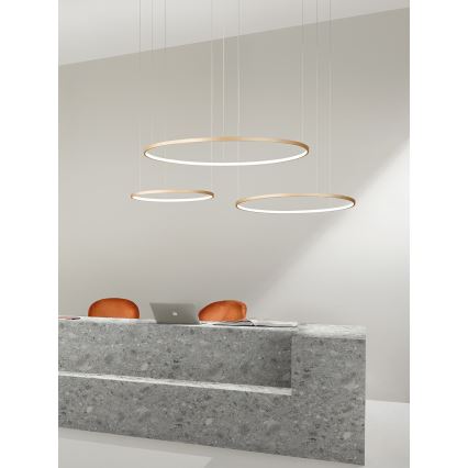 Ondaluce - himmennettävä LED-riippuvalaisin vaijerilla SOEL LED/28W/230V Ø 60 cm kultainen