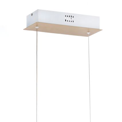 ONLI - LED-kattokruunu johdossa NILO LED/70W/230V 4000K ruskea/valkoinen