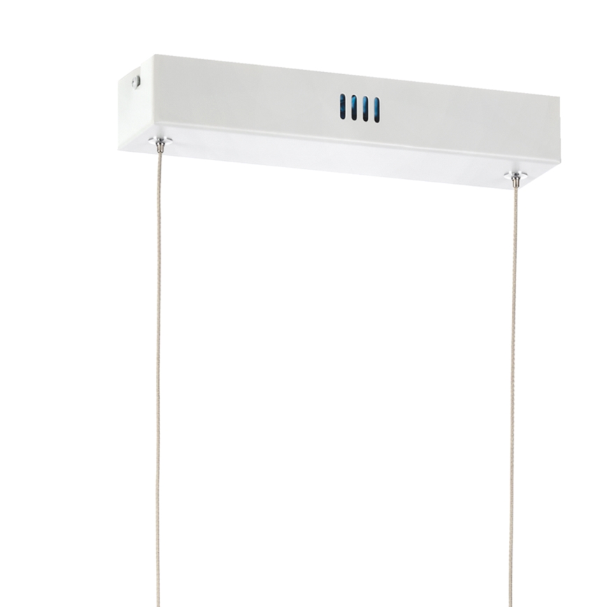 ONLI - LED-kattokruunu johdossa SQUID LED/60W/230V 4000K valkoinen