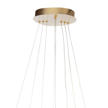 ONLI - LED-riippuvalaisin vaijerilla NOELIA LED/40W/230V kultainen