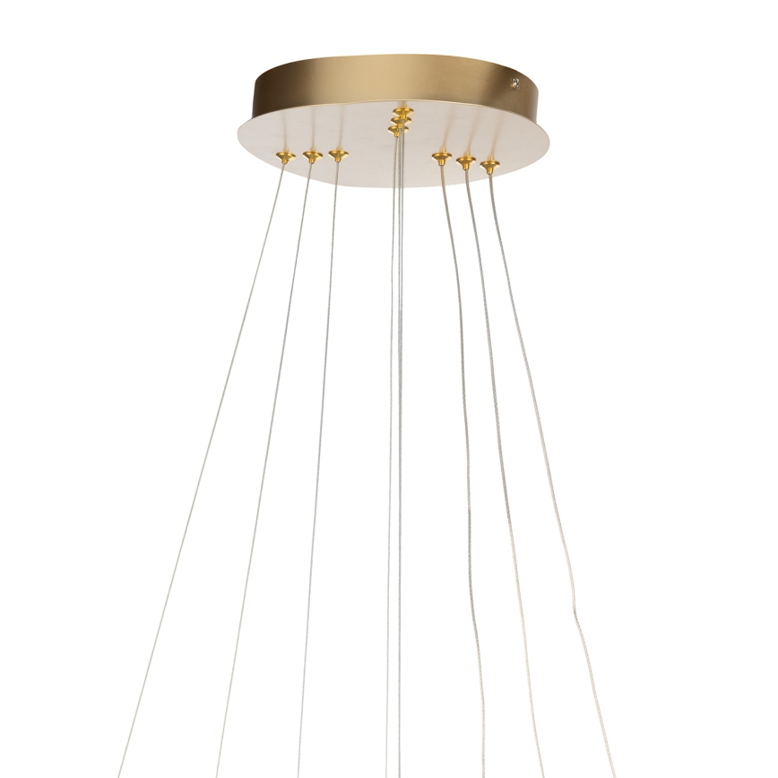 ONLI - LED-riippuvalaisin vaijerilla NOELIA LED/40W/230V kultainen