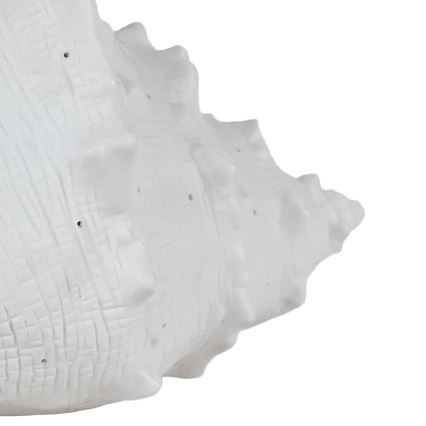ONLI - Pöytävalaisin PORCELLANA 1xE14/6W/230V 29 cm simpukka