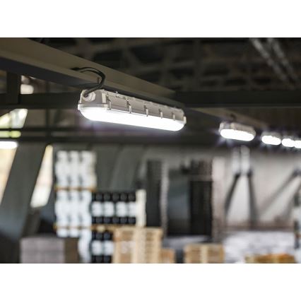 ORAVA LED-himmennettävä tekninen valaisin LED/35/44/53/60W/230V IP66 150 cm