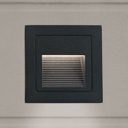 LED Upotettava valaisin LORO LED/2W/230V IP65 musta