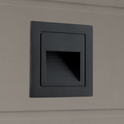 LED Upotettava valaisin LORO LED/2W/230V IP65 musta