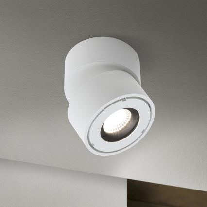 LED himmennettävä kylpyhuoneen kohdevalaisin HARVEY LED/15W/230V IP65 valkoinen